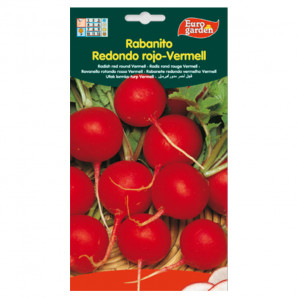 Semilla sobre rabanito Redondo Rojo-Vermell