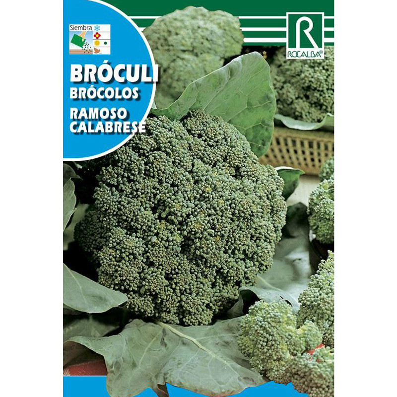 Semilla sobre brócoli